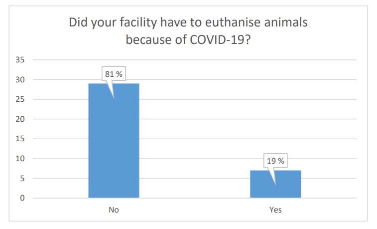 Animal research facilities and COVID-19 - Report has been published