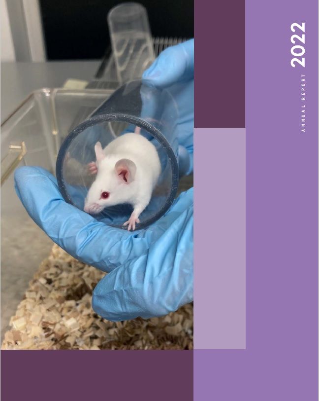 Annual Report 2022 in English