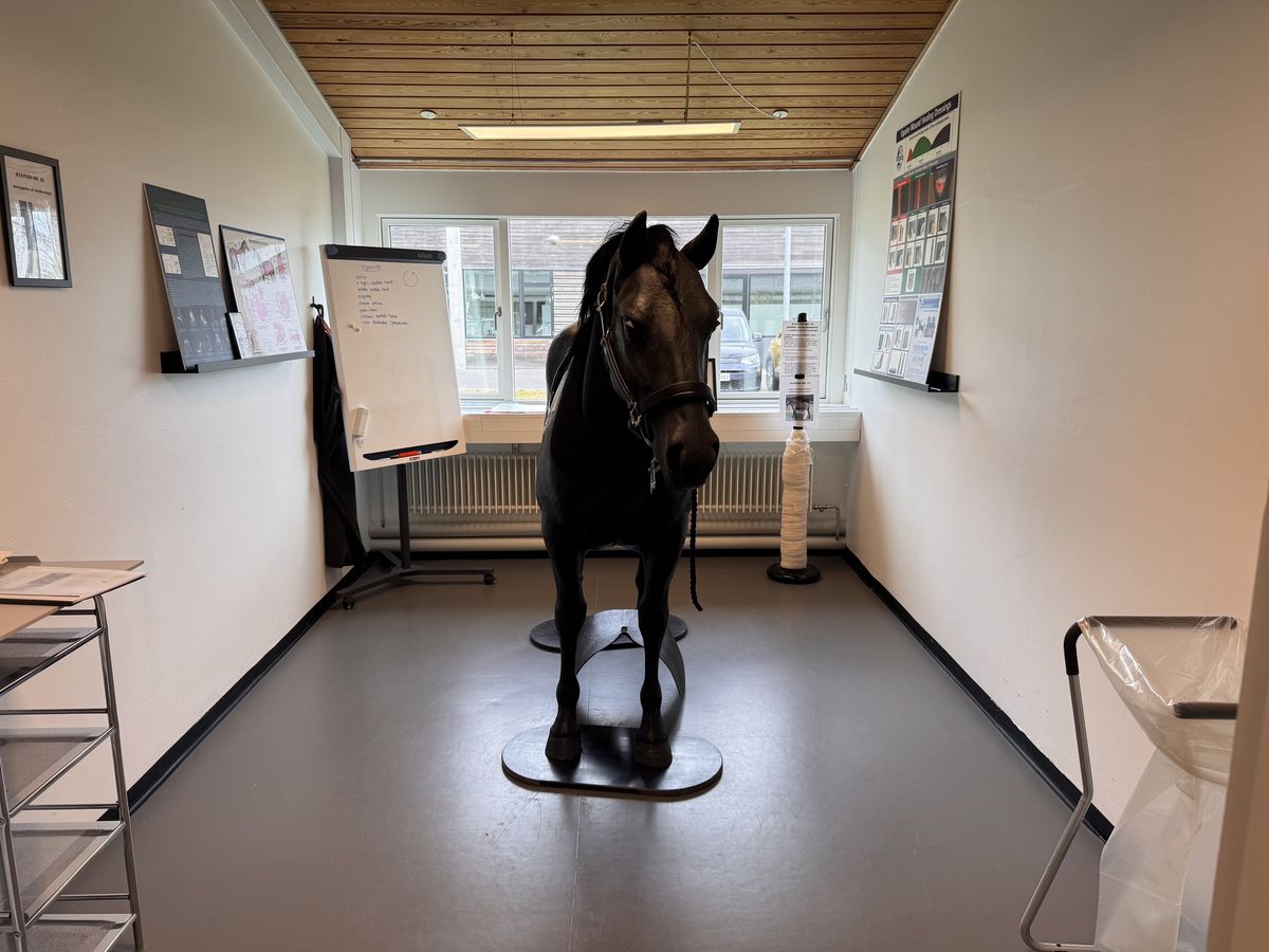 Opening of Simulation Centre at UCPH